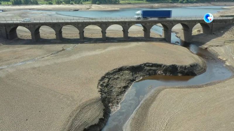 英国宣布多地进入干旱状态