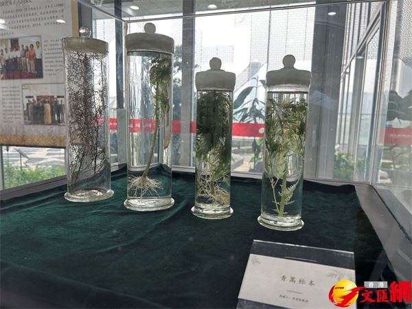 粵專家推動青蒿素走向世界　專題展再現科學追夢精神