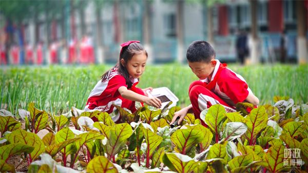 时政新闻眼丨习近平考察这所学校，深情寄语新时代中国儿童