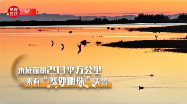 习近平内蒙古行丨走进“塞外明珠”——乌梁素海