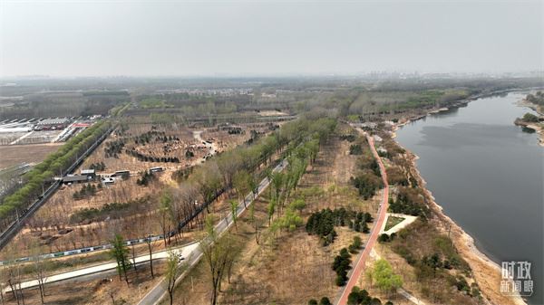 时政新闻眼丨再次参加首都义务植树活动，习近平强调绿化祖国要三者并举