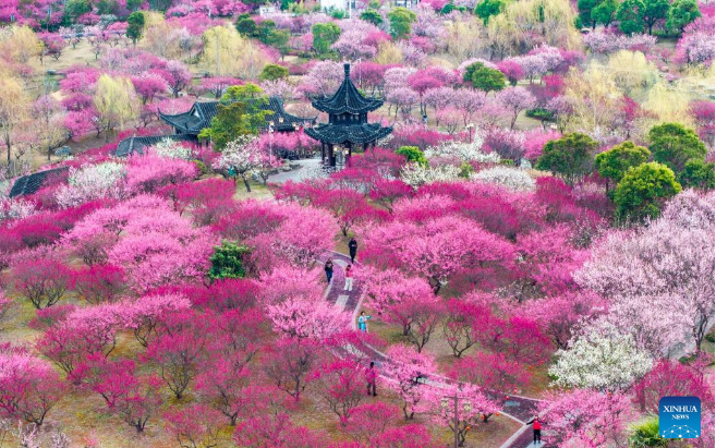 Flowers in blossom across China