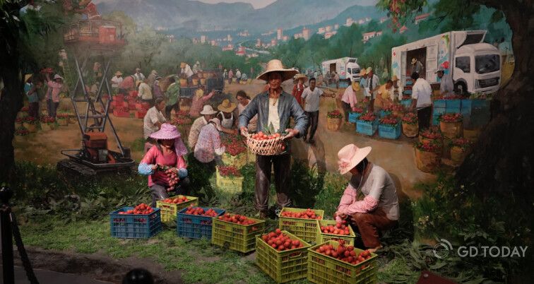 International influencers discover lychee culture and modern rural transformation in Maoming