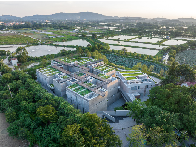 Guangdong's 700-year-old village debuts at Venice Biennale 2025