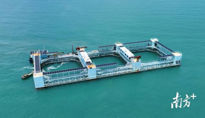Guangdong's modern marine ranching redefining taste of 