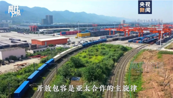 视频丨APEC秘书处执行主任：期待会议上的中国声音