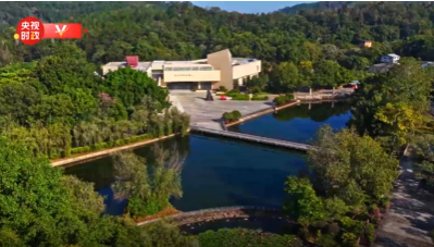 独家视频丨习近平在广东省梅州市考察调研