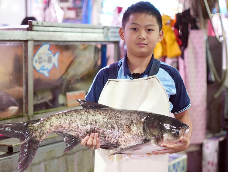 佛山秋假“鱼档少年”走红背后：最好的课堂在身边的烟火日常