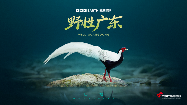 原来广东这么“野”