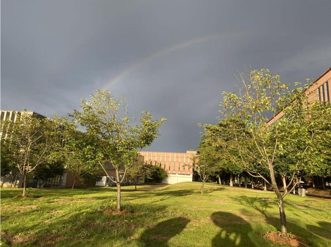 山水有根，鄉愁有聲——寫給韶關