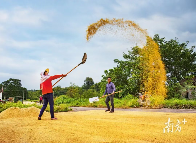 广东，好有“米”！