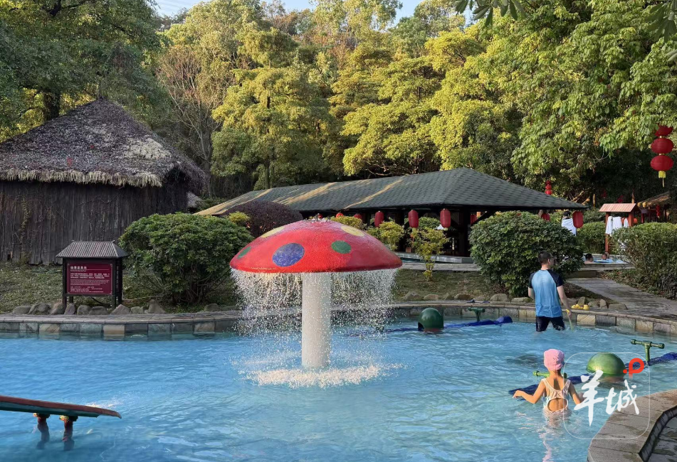 超142万人次畅游广东！超长春节假期广东文旅市场开门红“火辣辣”！