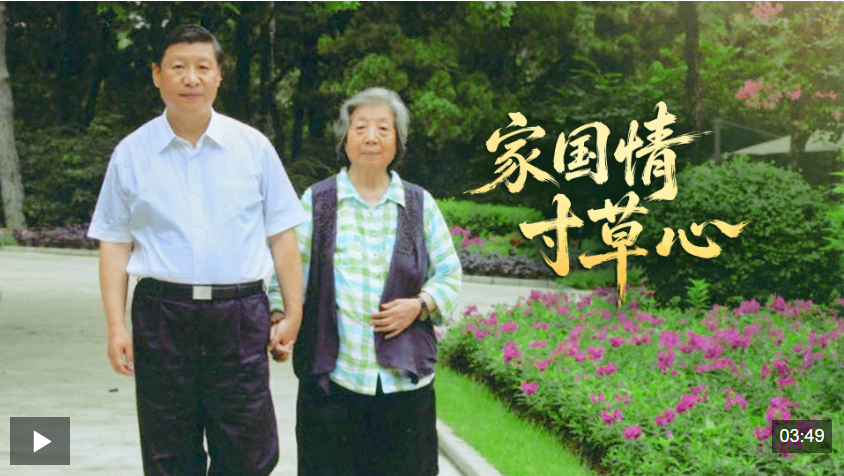 时政微视频丨家国情 寸草心
