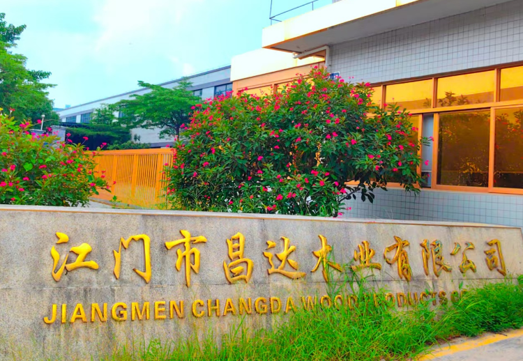 广东江门昌达木业：胶合板绿色智造扬帆出海