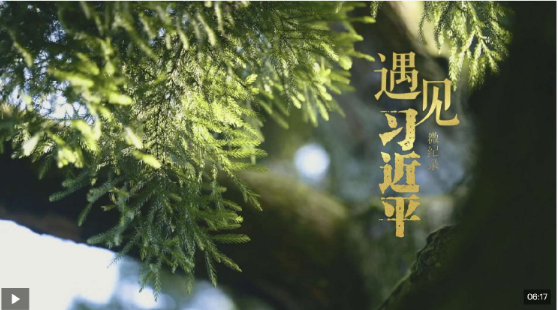 遇见习近平丨跨越山海，续写“鼓岭情缘”