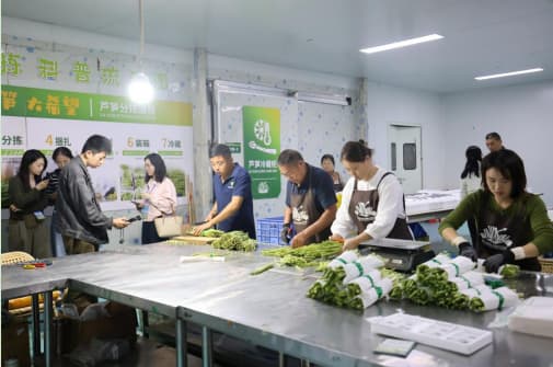 立足县域创新实践 新建区贡献全球乡村振兴中国方案