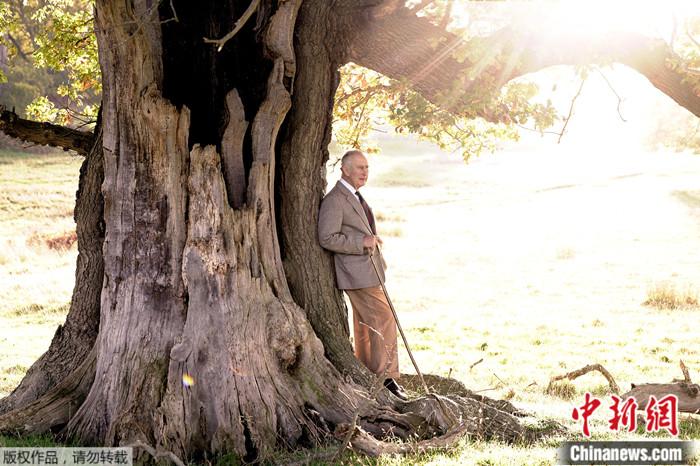 2022年11月14日，英国国王查尔斯三世被任命为温莎大公园的护林员。这一职位可以追溯到1559年，通常由英国君主或其家庭成员担任。图为查尔斯三世站在温莎大公园中一棵古老的橡树旁。