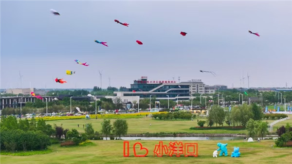 如东举办2025年南通市社区运动会暨如东小洋口第三届体育嘉年华