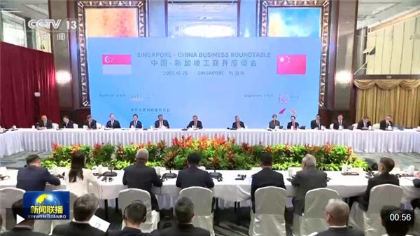 李强出席中国新加坡工商界座谈会