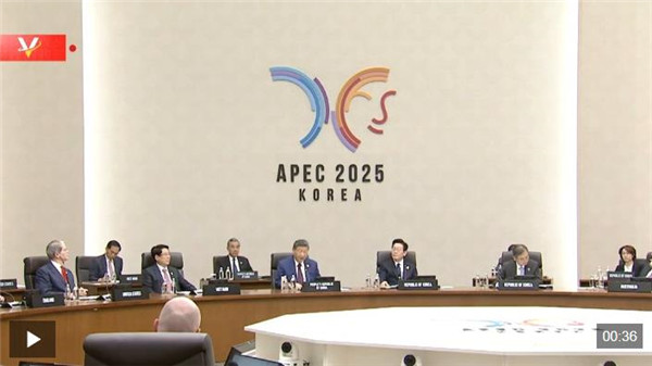 独家视频丨习近平宣布中方将在深圳举办亚太经合组织第三十三次领导人非正式会议