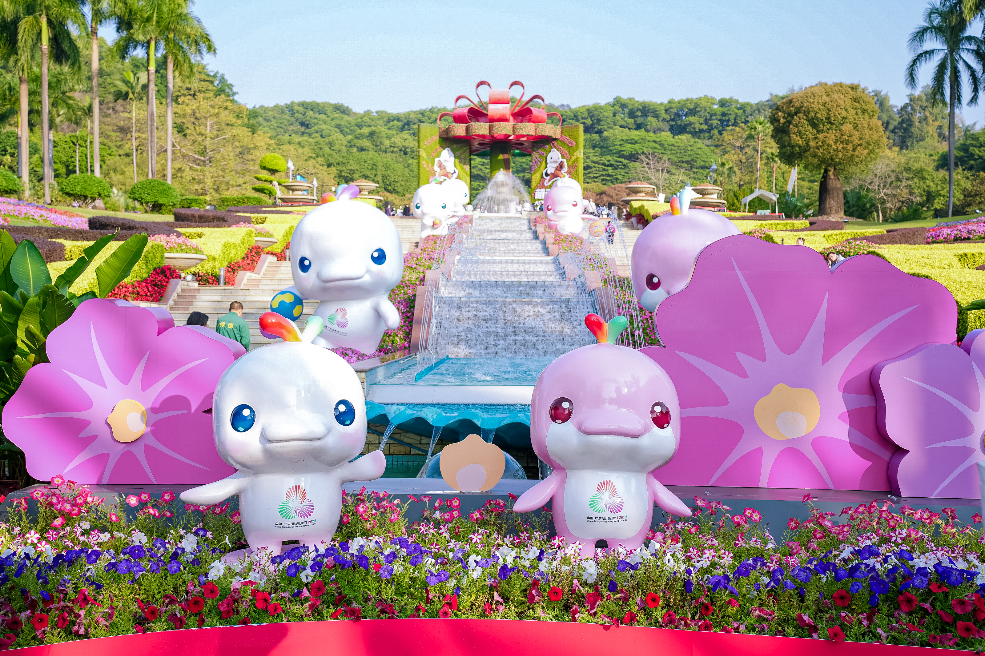 新年去哪偶遇“大湾鸡”？巡游地图发布，快收藏！